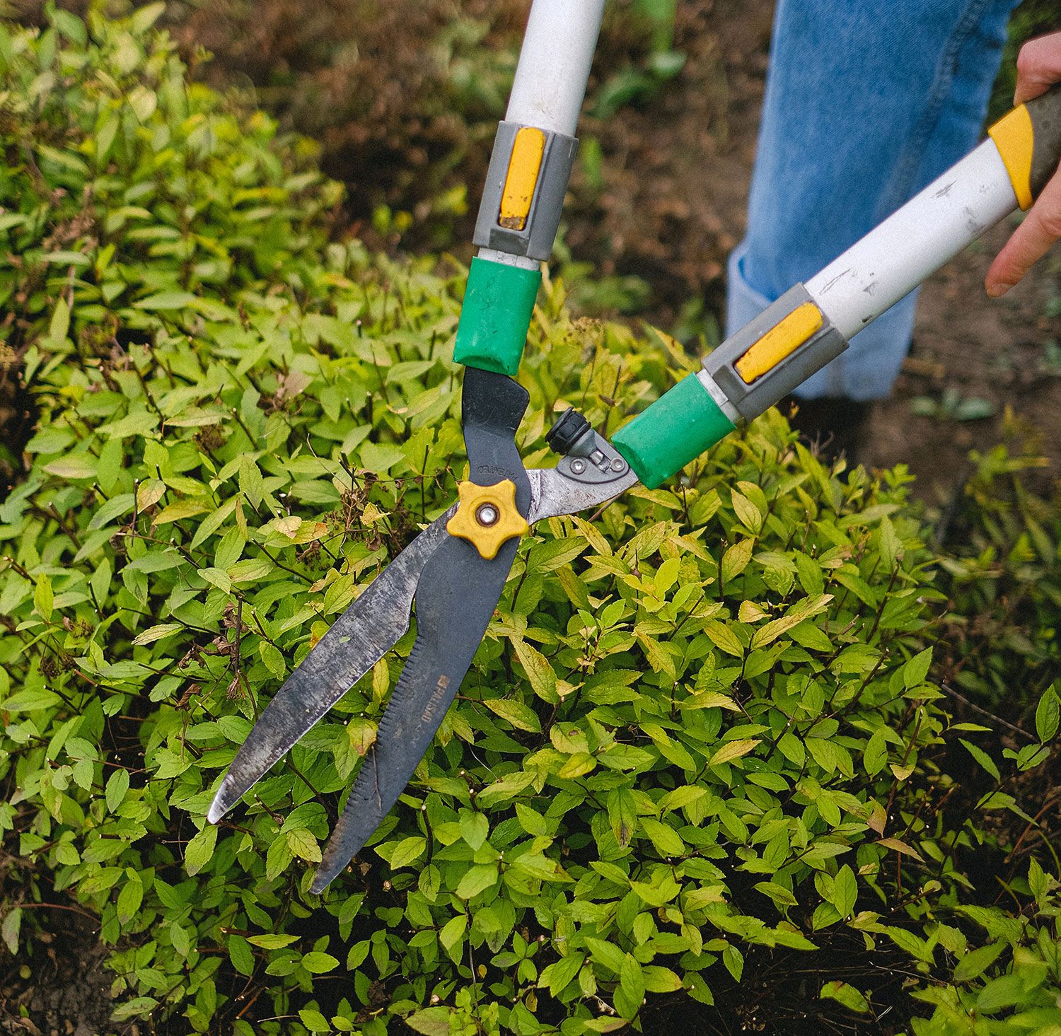 Herramientas para jardinería en Navas